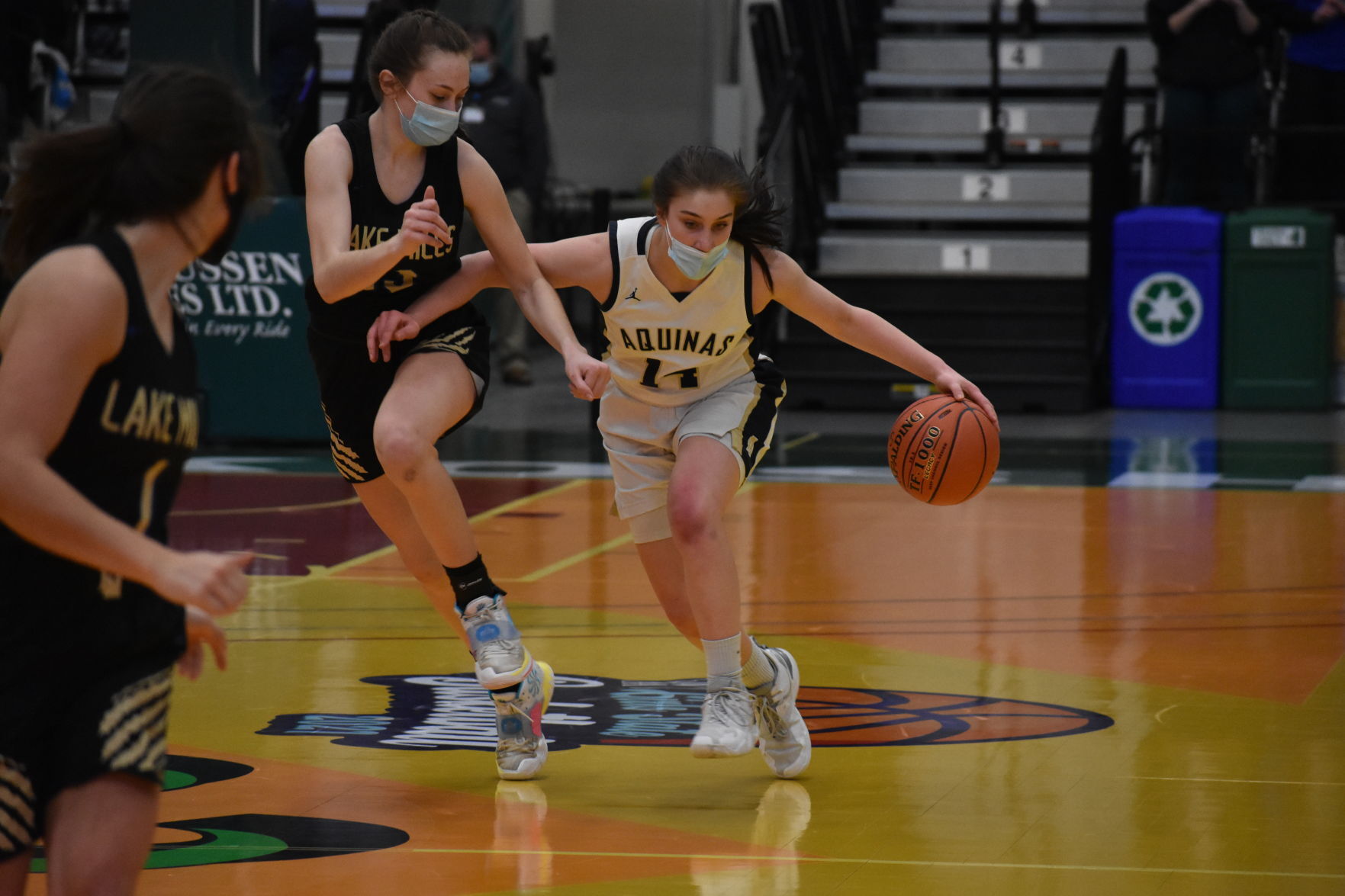 WIAA D3 championship 1